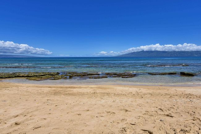 APT-110 - 3691 Lower Honoapiilani Rd, Condo with 1 bedrooms, 1 bathrooms and null parking in Lahaina HI | Image 39