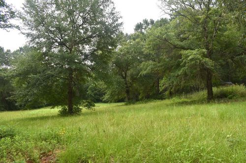 TBD An County Road 155, Elkhart, TX, 75839 | Card Image