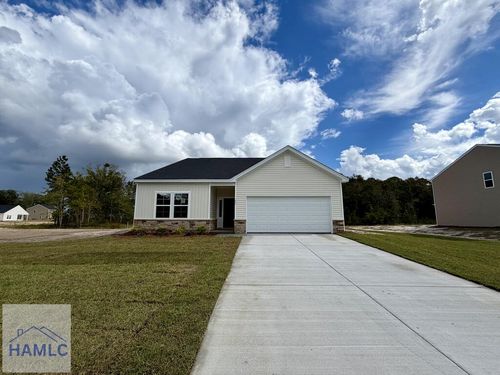 293 Teal Trl Ne, Ludowici, GA, 31316-6987 | Card Image