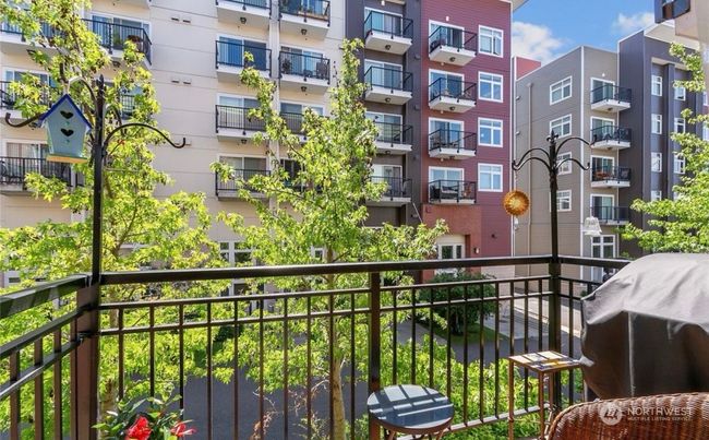 East-facing balcony at a perfect height in the tops of the street trees | Image 14