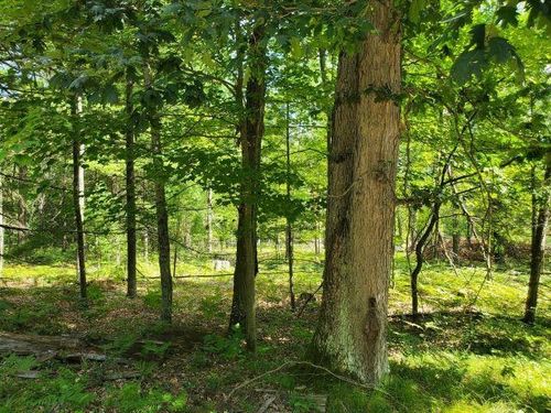 0 Turtle Lake Rd, Prescott, MI, 48756 | Card Image