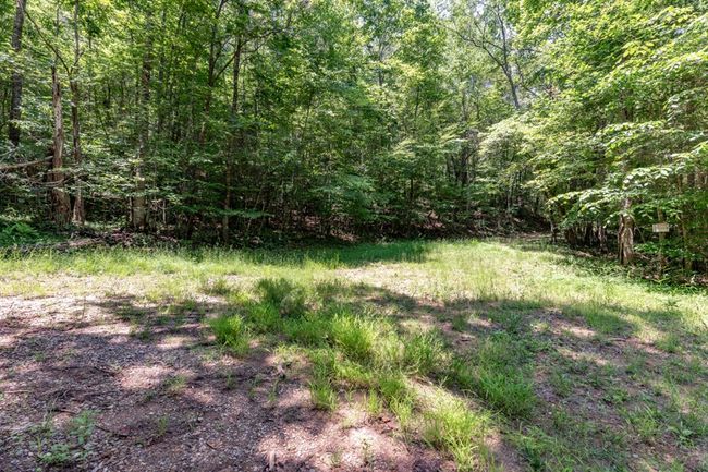 26.18 AC Green Road, Home with 0 bedrooms, 0 bathrooms and null parking in Young Harris GA | Image 7
