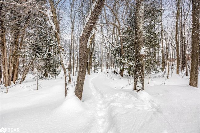 11 Maple Crt, House other with 3 bedrooms, 3 bathrooms and 8 parking in Coldwater ON | Image 48
