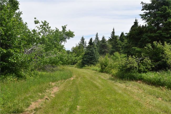 9197 Fedyn Rd, House other with 4 bedrooms, 3 bathrooms and null parking in Ladysmith WI | Image 29