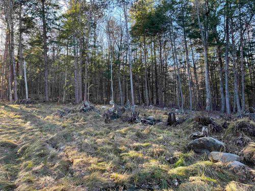 11 Raccoon Hill Rd, Salisbury, NH, 03268 | Card Image