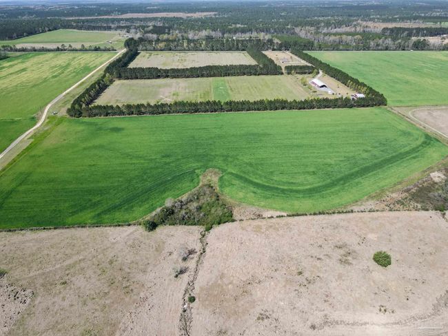 5872 S Highway 99, Home with 0 bedrooms, 0 bathrooms and null parking in Mc David FL | Image 6