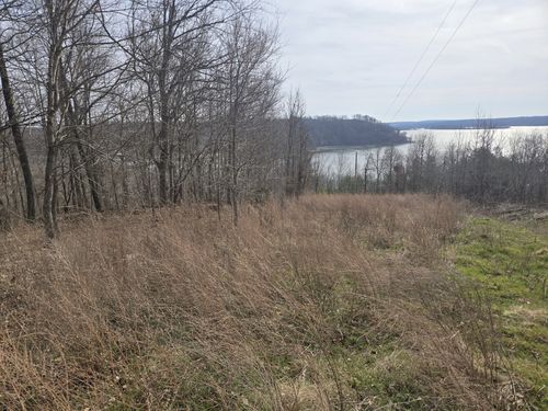 0 Cleburne Pt Prince Phillip, Waverly, TN, 37185 | Card Image