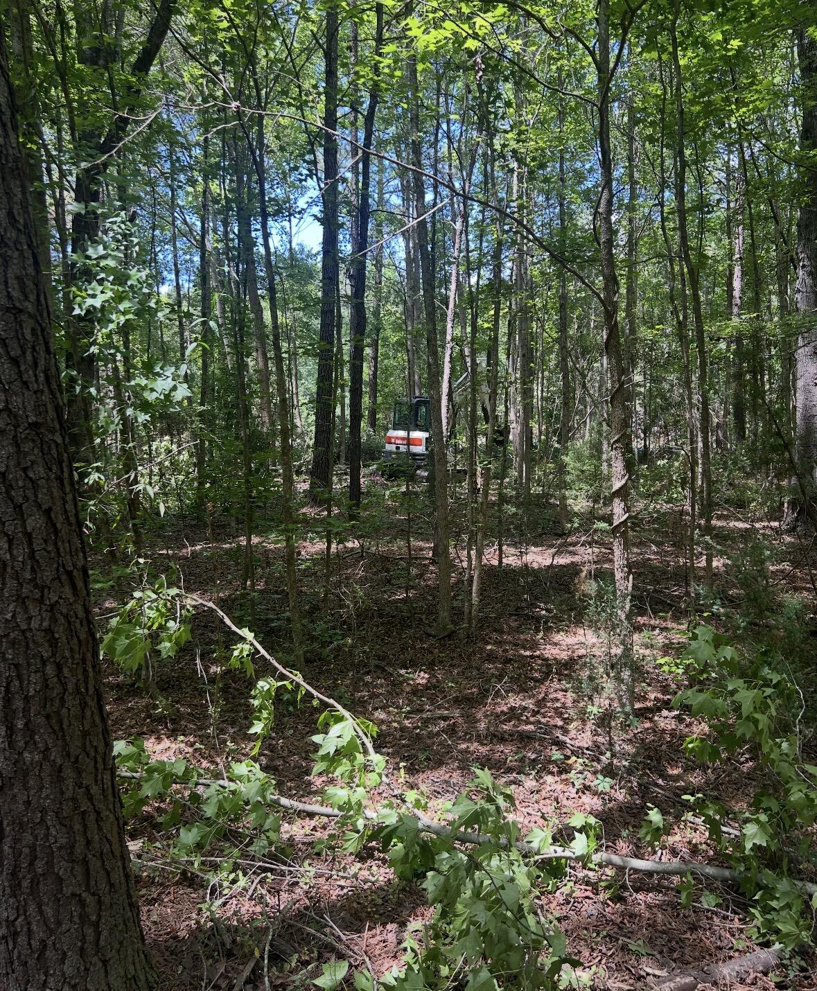 Land in Saint Stephen 5