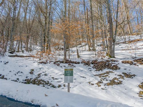 Lot 45 Black Bear Run, Mars Hill, NC, 28754-5665 | Card Image