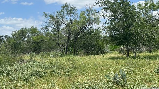 946 County Road 2863, Home with 0 bedrooms, 0 bathrooms and null parking in Bigfoot TX | Image 4