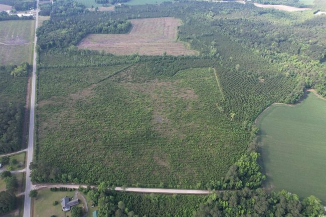 20 Highway 260, Home with 0 bedrooms, 0 bathrooms and null parking in Manning SC | Image 7