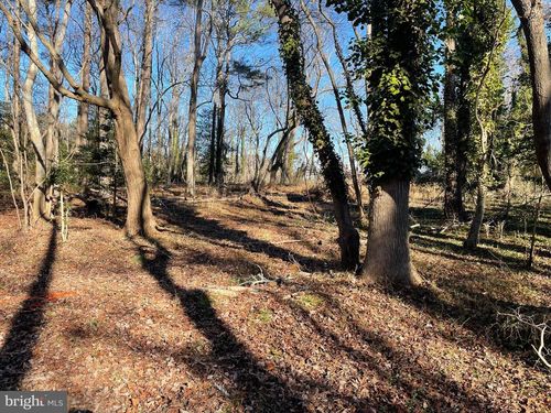 6011 Tick Town Rd, STOCKTON, MD, 21864 | Card Image