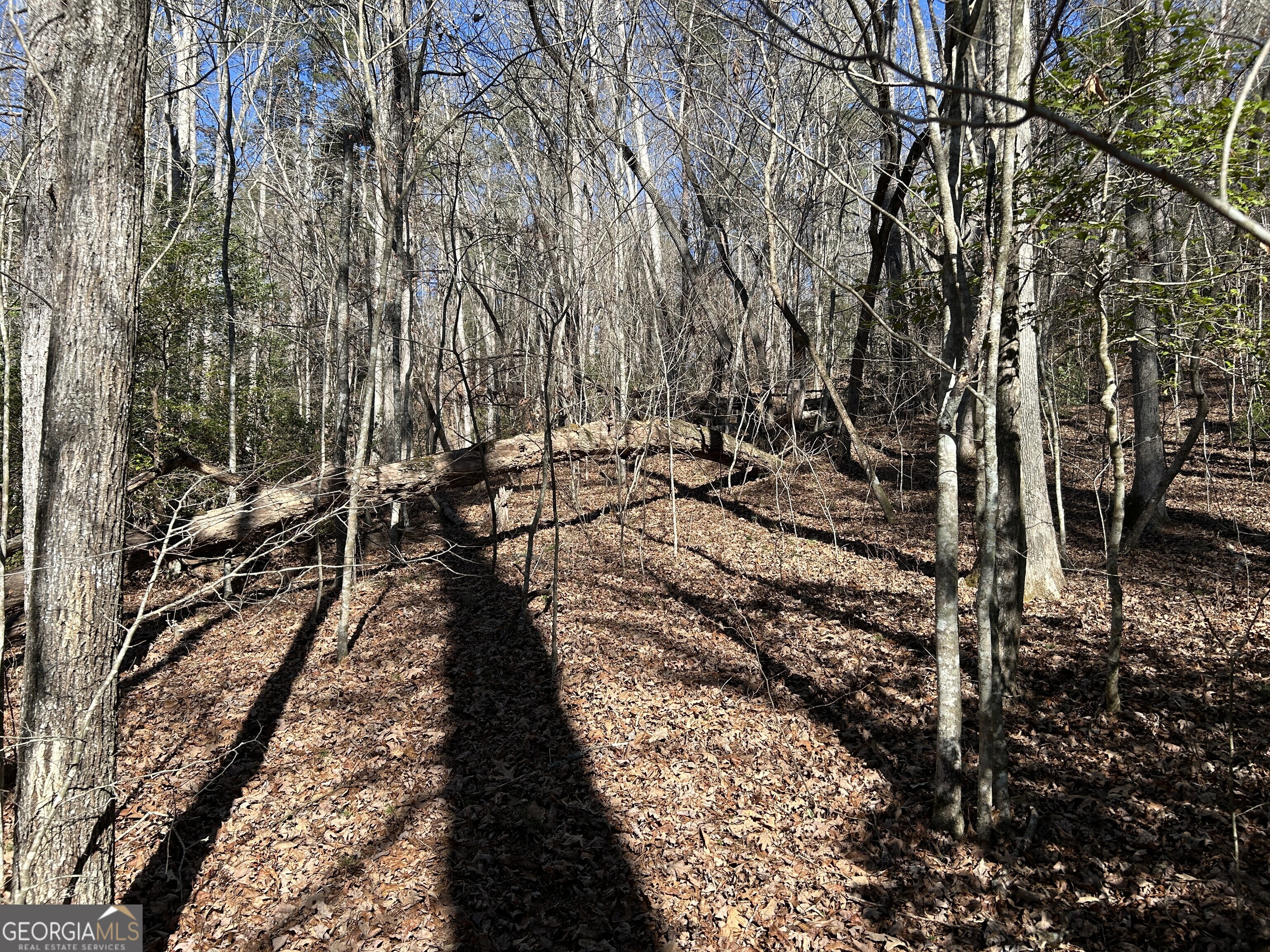 Land in Demorest 5