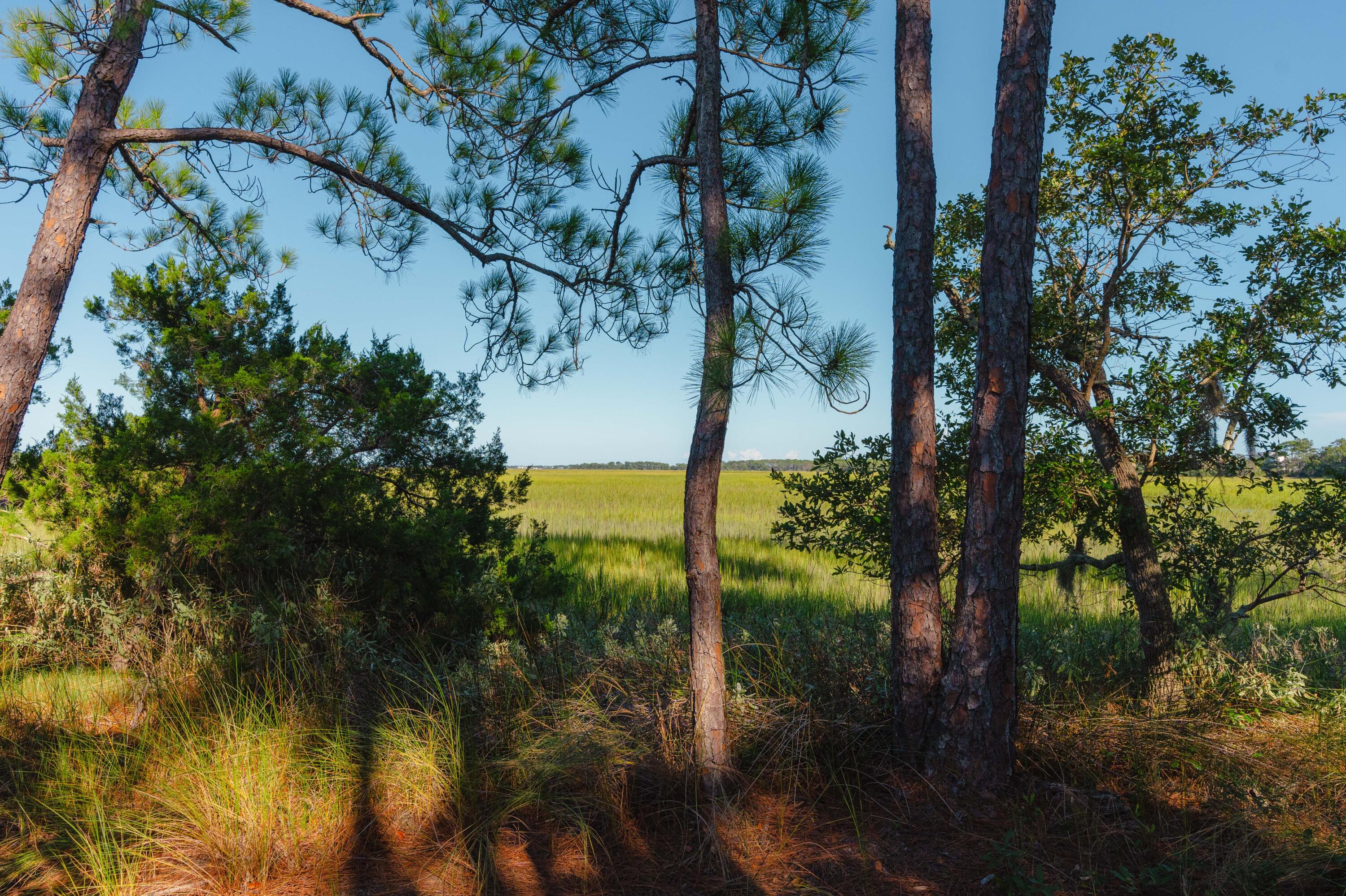Land in Charleston 4
