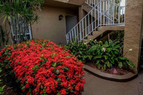 d142-225 Country Club Dr, LARGO, FL, 33771-6303 | Card Image