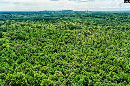 1549 Doctor Bowers Rd, Little Mountain, SC, 29075-9194 | Card Image