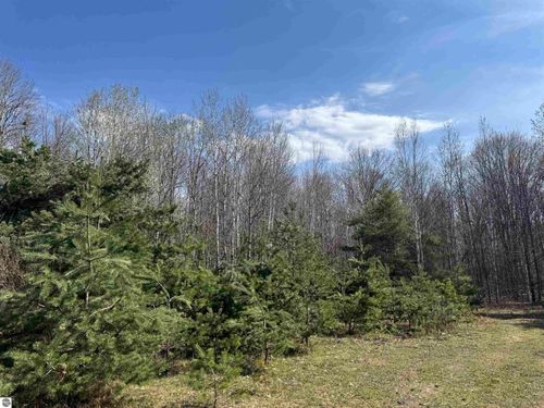 TBD N Loomis Rd, Clare, MI, 48617 | Card Image