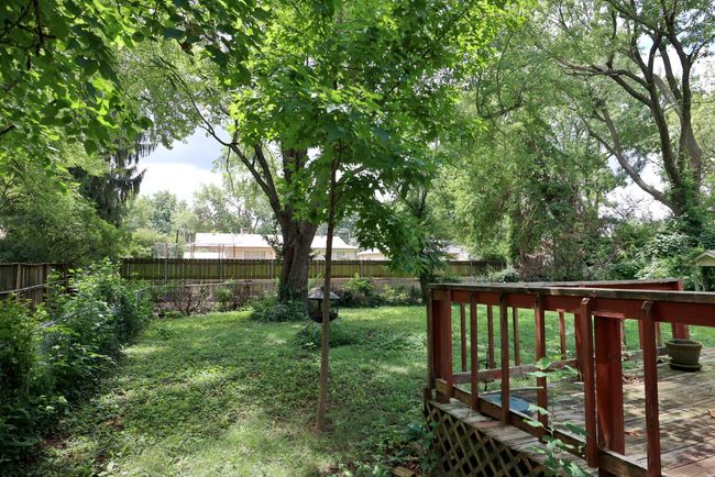 Berkeley-6482 | Image 32