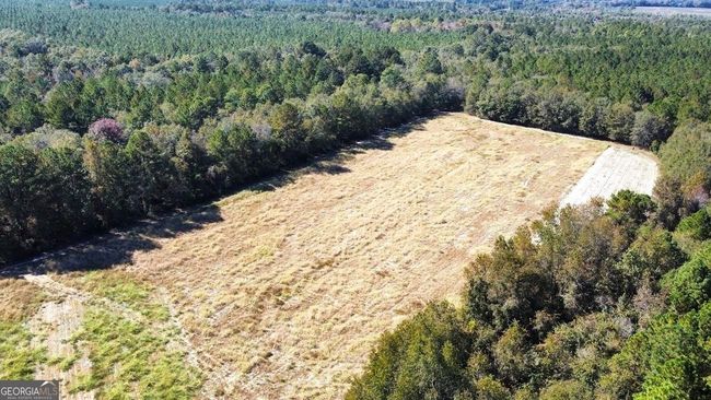 268-ACRES - 99 Old Happy Ln, Home with 0 bedrooms, 0 bathrooms and null parking in Brooklet GA | Image 11