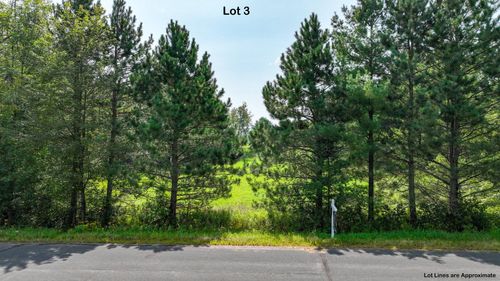 Lot 3 & 4 28 1/16 Avenue, Cedar Lake Twp, WI, 54817 | Card Image