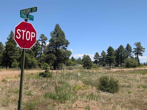 16 Mansions Cir, Pagosa Springs, CO, 81147-1042 | Card Image