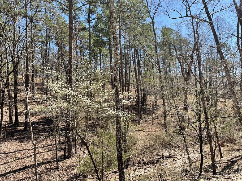 Land in Broken Bow