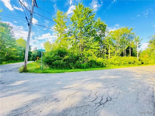 0 Sycamore Ave, Angola, NY, 14006 | Card Image