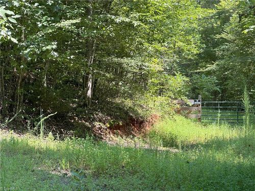 0 Mary Ann Rd, Walnut Cove, NC, 27052 | Card Image
