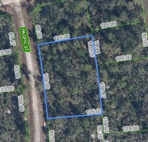 719 Pacific St, Lake Placid, FL, 33852 | Card Image