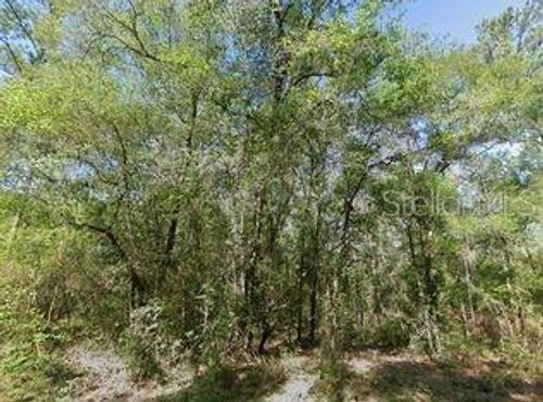 491 E Nemo Dr, DUNNELLON, FL, 34434 | Card Image