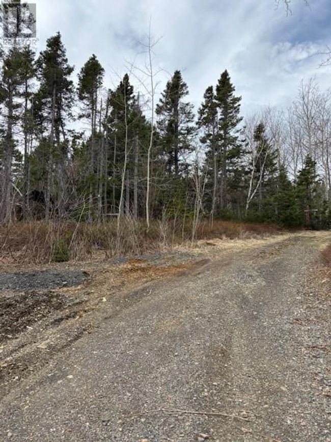 159 Main St, House other with 4 bedrooms, 1 bathrooms and null parking in Embree NL | Image 26
