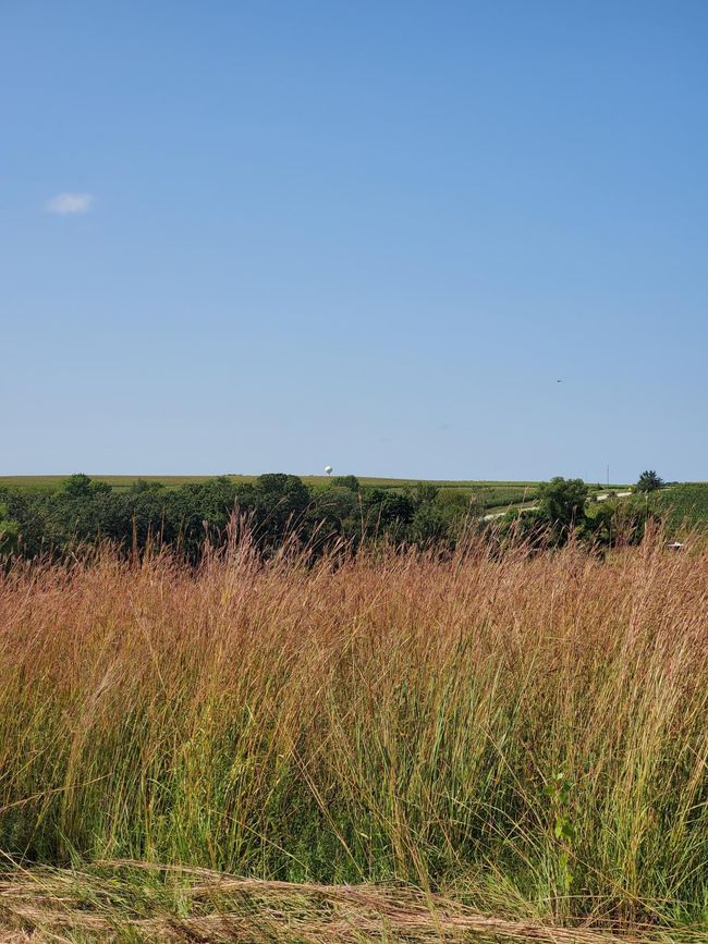 TBD 110 Th St Se, Home with 0 bedrooms, 0 bathrooms and null parking in Chatfield MN | Image 12