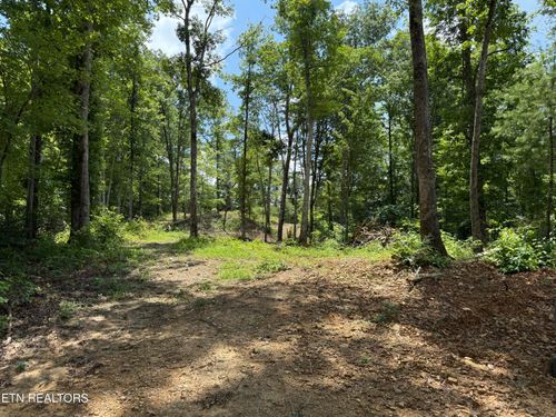458 Nydeck Rd, Robbins, TN, 37852-3835 | Card Image