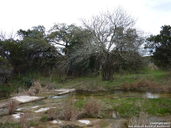 17032 Scenic Loop Rd, Home with 0 bedrooms, 0 bathrooms and null parking in Helotes TX | Image 5