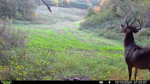 45211 Franson Rd Roads N, Strum, WI, 54770 | Card Image