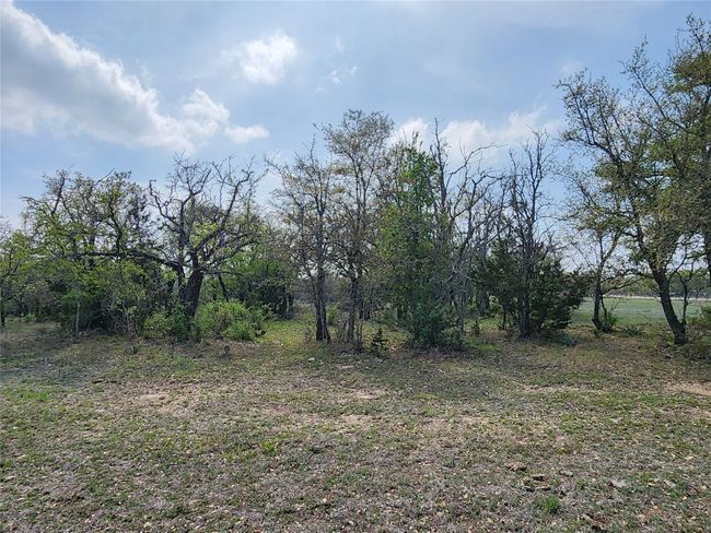 212 Oak Glen Ln, Home with 0 bedrooms, 0 bathrooms and null parking in Briggs TX | Image 13