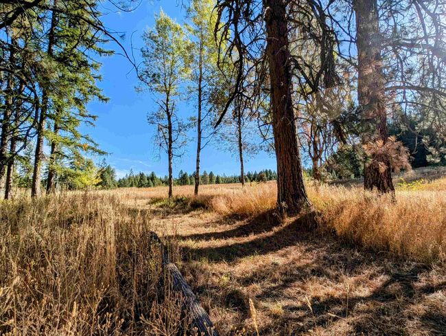 4439 Whittier Rd, House other with 3 bedrooms, 0 bathrooms and null parking in Clayton WA | Image 39