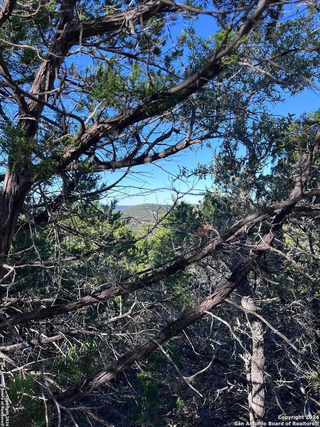 0 Cedar Hill Rd, Home with 0 bedrooms, 0 bathrooms and null parking in Pipe Creek TX | Image 9