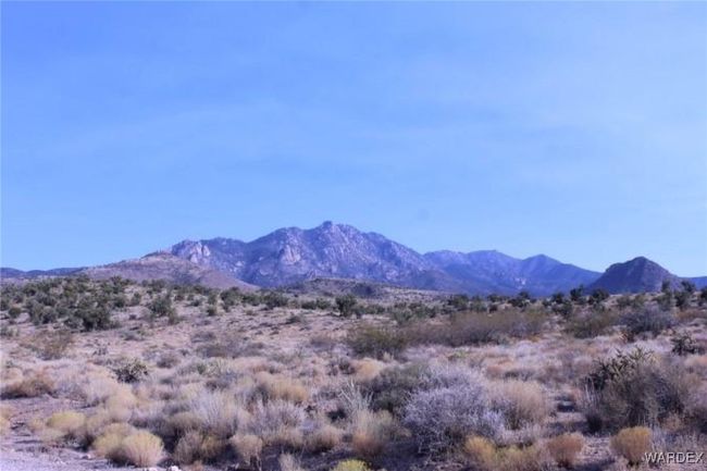 View | Image 5