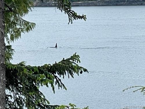 Lot C Telegraph Cove, Telegraph Cove, BC, V0N2R0 | Card Image