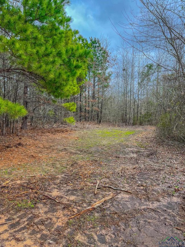 00 Mistletoe Rd, Home with 0 bedrooms, 0 bathrooms and null parking in Gilmer TX | Image 10