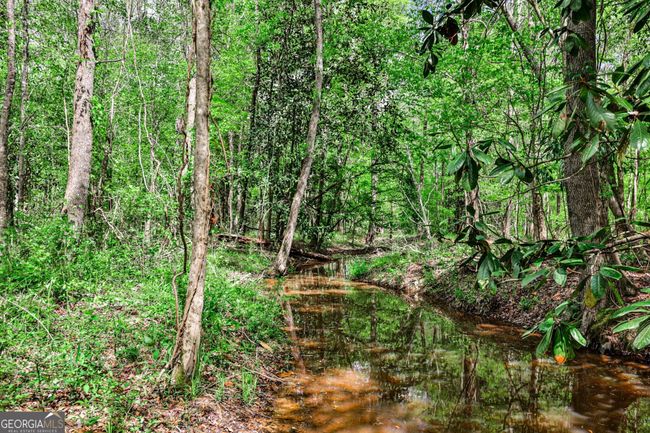 0 Kemp Rd, Home with 0 bedrooms, 0 bathrooms and null parking in Buena Vista GA | Image 21