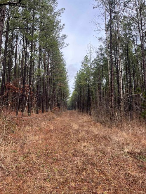 0 County Road 324, Iuka, MS, 38852 | Card Image