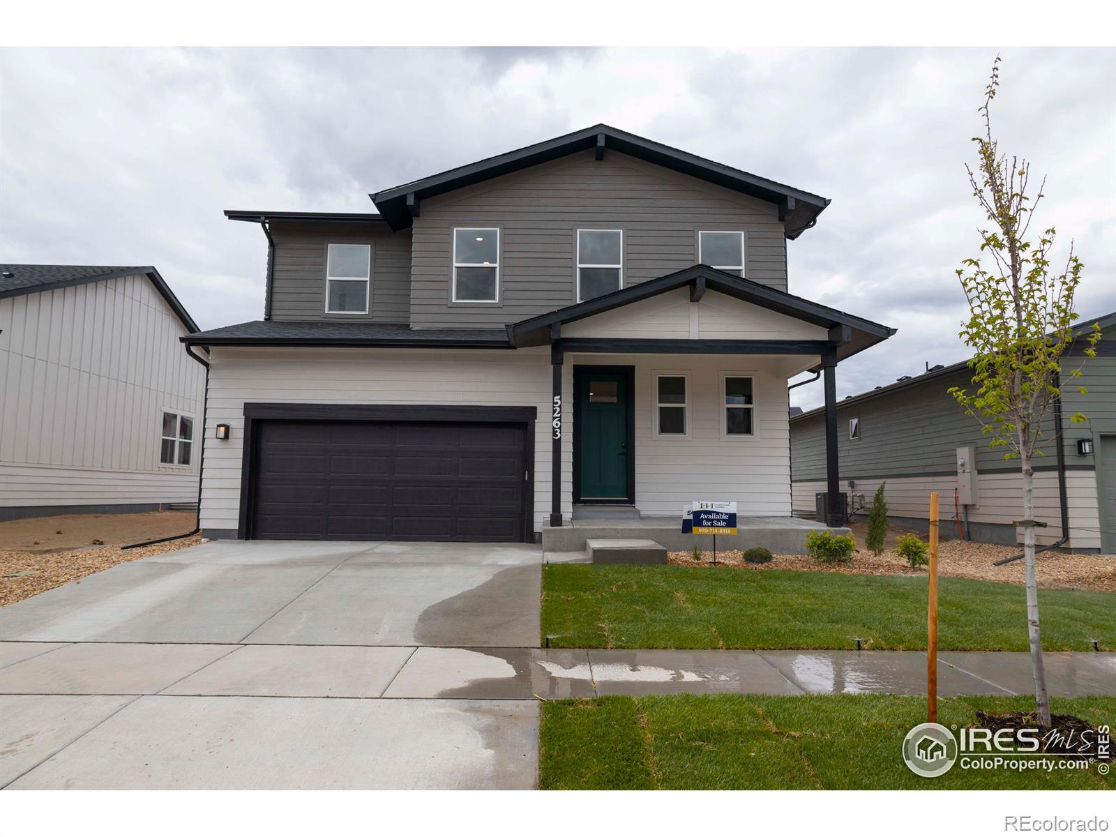 Ribault St, Timnath, CO 80547
