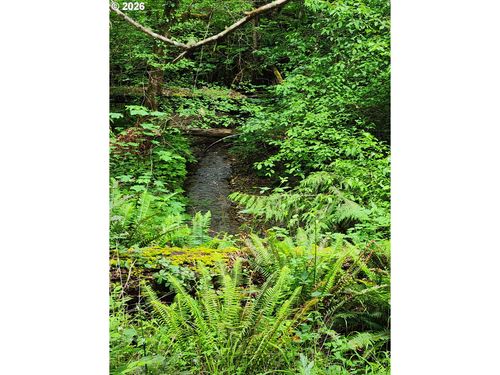 0 Louis Creek Rd, Myrtle Creek, OR, 97457 | Card Image