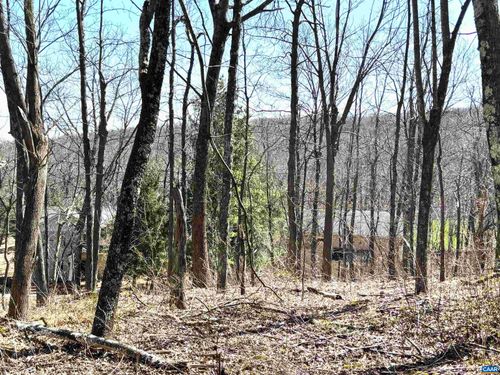 433 Laurel Springs Dr, WINTERGREEN RESORT, VA, 22967-8162 | Card Image