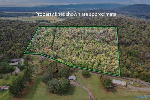 17 Acres Old Grant Rd, Woodville, AL, 35776 | Card Image