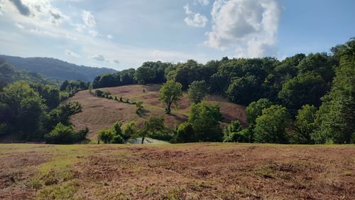 0 Hurricane Creek Rd, Woodbury, TN, 37190 | Card Image