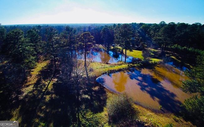 331A County Line Rd, House other with 3 bedrooms, 2 bathrooms and null parking in Jenkinsburg GA | Image 14