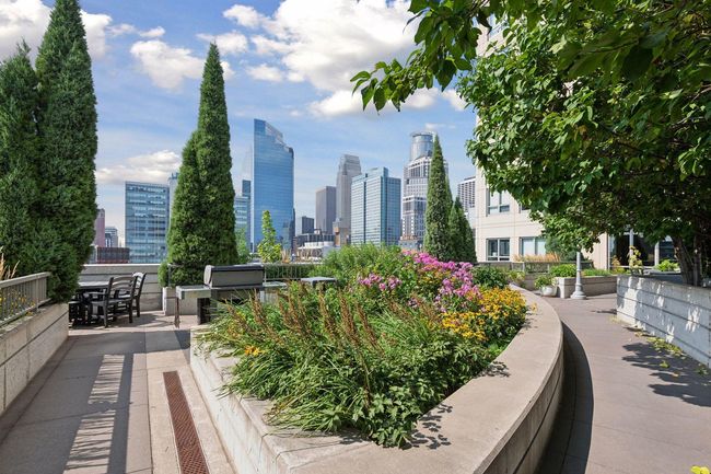 Roof-top terrace gardens | Image 44